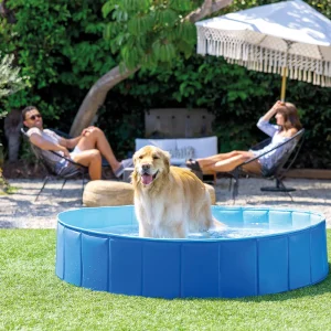 Intex 48400 Portable Pet Pool Round Foldable Dog Swimming Pool