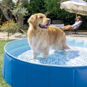 Intex 48400 Portable Pet Pool Round Foldable Dog Swimming Pool