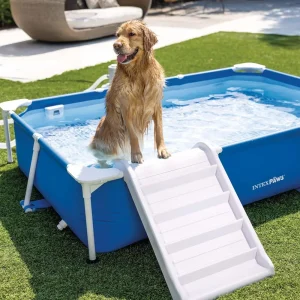 Intex 48404  Rectangular Metal Frame Pet Pool With Ramp And Filter Pump For Animal