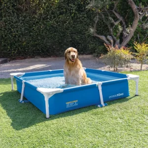 Intex 48402 Square Steel Frame Pet Pool With Detachable Skimmer